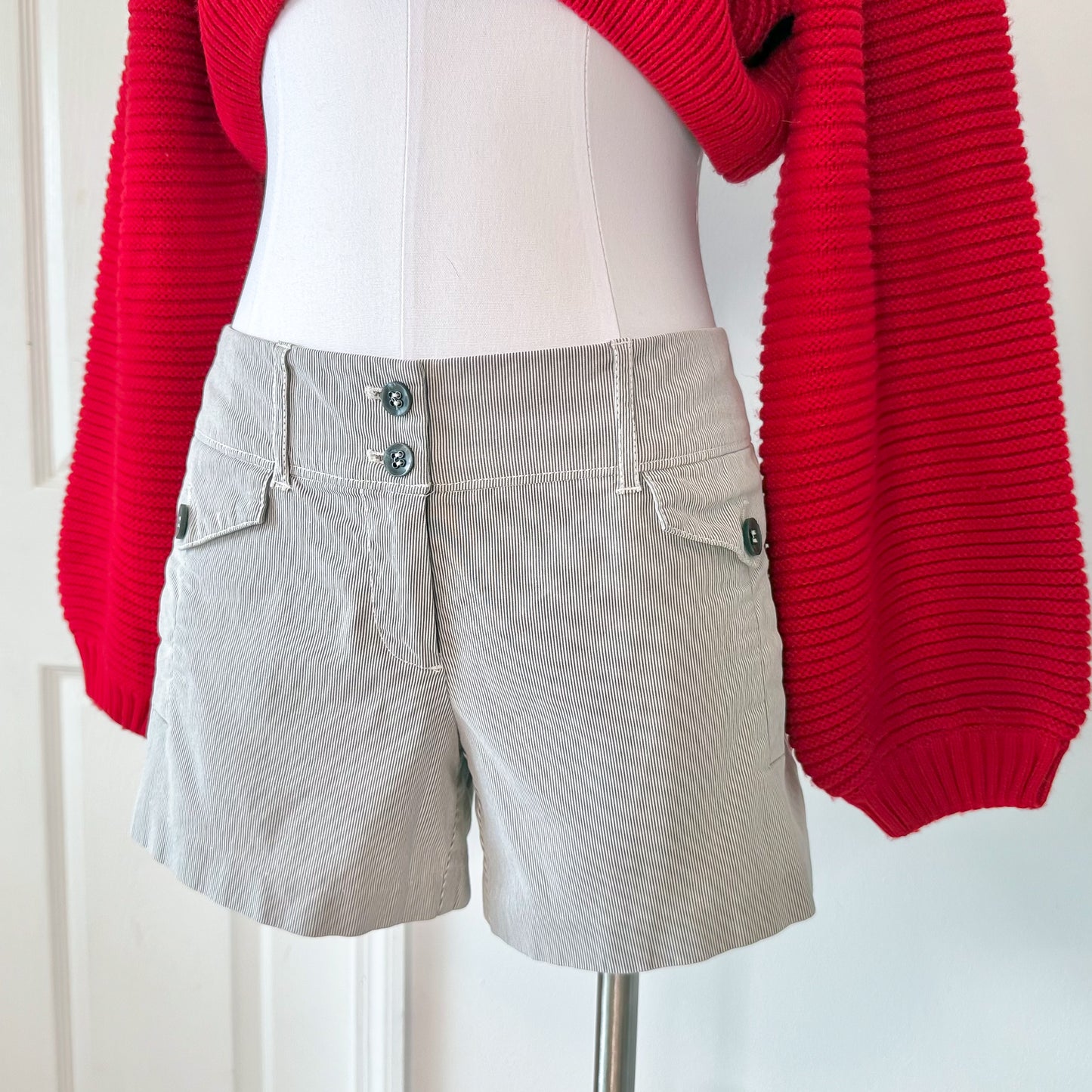 Y2K Grey Blue Striped Shorts / SZ 2