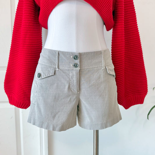 Y2K Grey Blue Striped Shorts / SZ 2