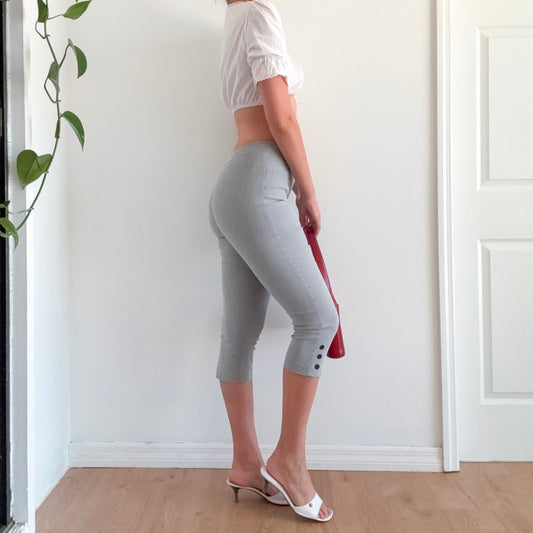Y2K Blue Striped Stretch Capri's / SZ S